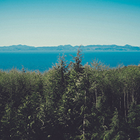 为您把控全局的ddos网页版